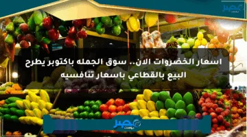 أسعار الخضروات الآن.. سوق الجملة بأكتوبر يطرح البيع بالقطاعي بأسعار تنافسية